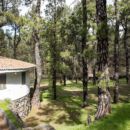 Vivienda Vacacional Finca La Redonda El Paso Exterior photo